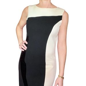 Teri Jon Black & White Sheath Dress